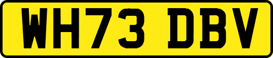 WH73DBV