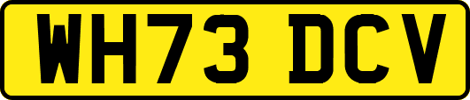WH73DCV