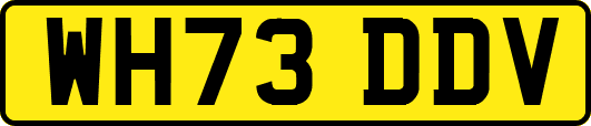 WH73DDV