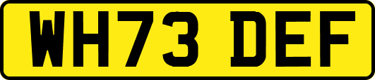 WH73DEF