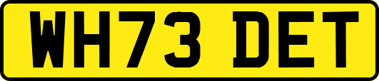 WH73DET