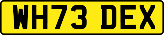 WH73DEX
