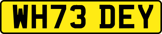 WH73DEY