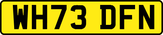 WH73DFN
