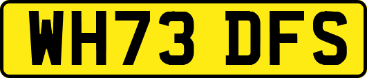 WH73DFS