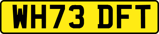 WH73DFT
