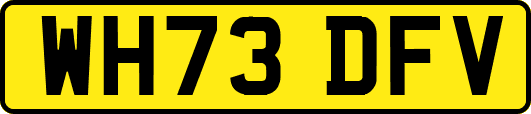 WH73DFV