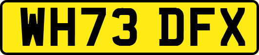 WH73DFX