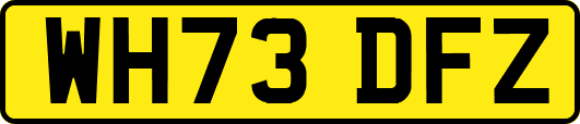 WH73DFZ