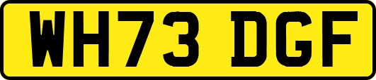 WH73DGF
