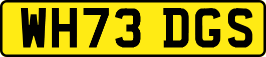 WH73DGS