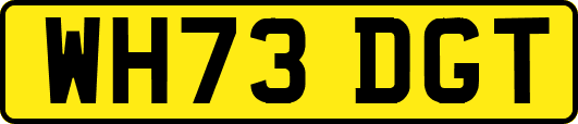 WH73DGT