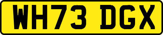 WH73DGX