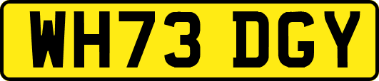 WH73DGY