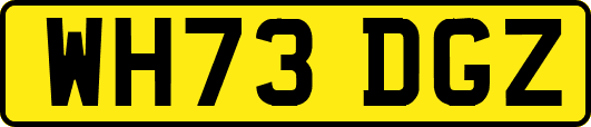 WH73DGZ