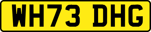 WH73DHG