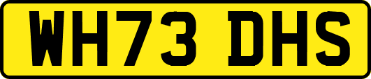 WH73DHS