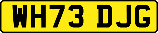 WH73DJG
