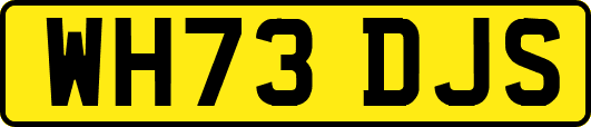 WH73DJS