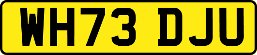 WH73DJU