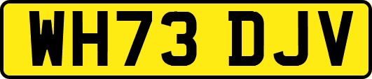 WH73DJV