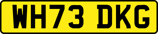 WH73DKG