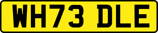 WH73DLE