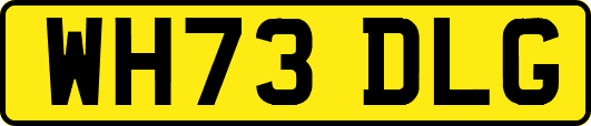 WH73DLG