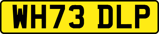 WH73DLP