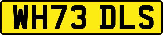 WH73DLS