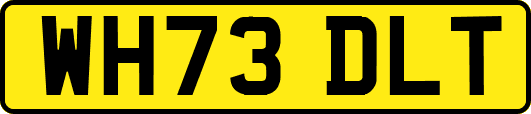 WH73DLT