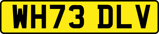WH73DLV