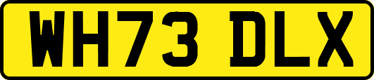 WH73DLX