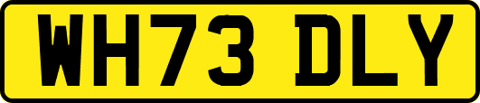 WH73DLY