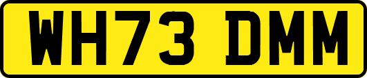 WH73DMM