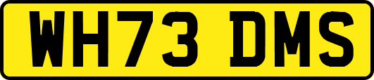 WH73DMS