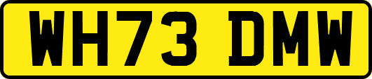 WH73DMW