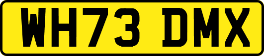 WH73DMX