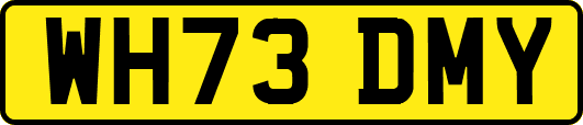 WH73DMY