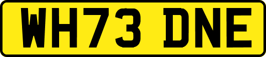 WH73DNE