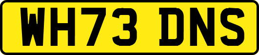 WH73DNS