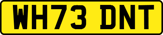 WH73DNT