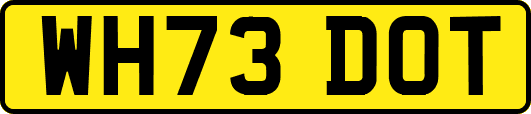WH73DOT