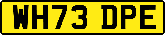 WH73DPE