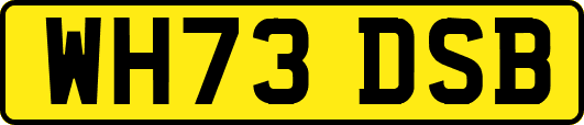 WH73DSB