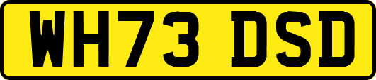 WH73DSD