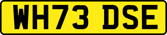 WH73DSE