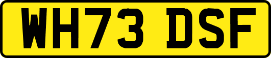 WH73DSF