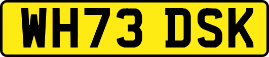 WH73DSK