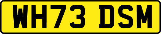 WH73DSM